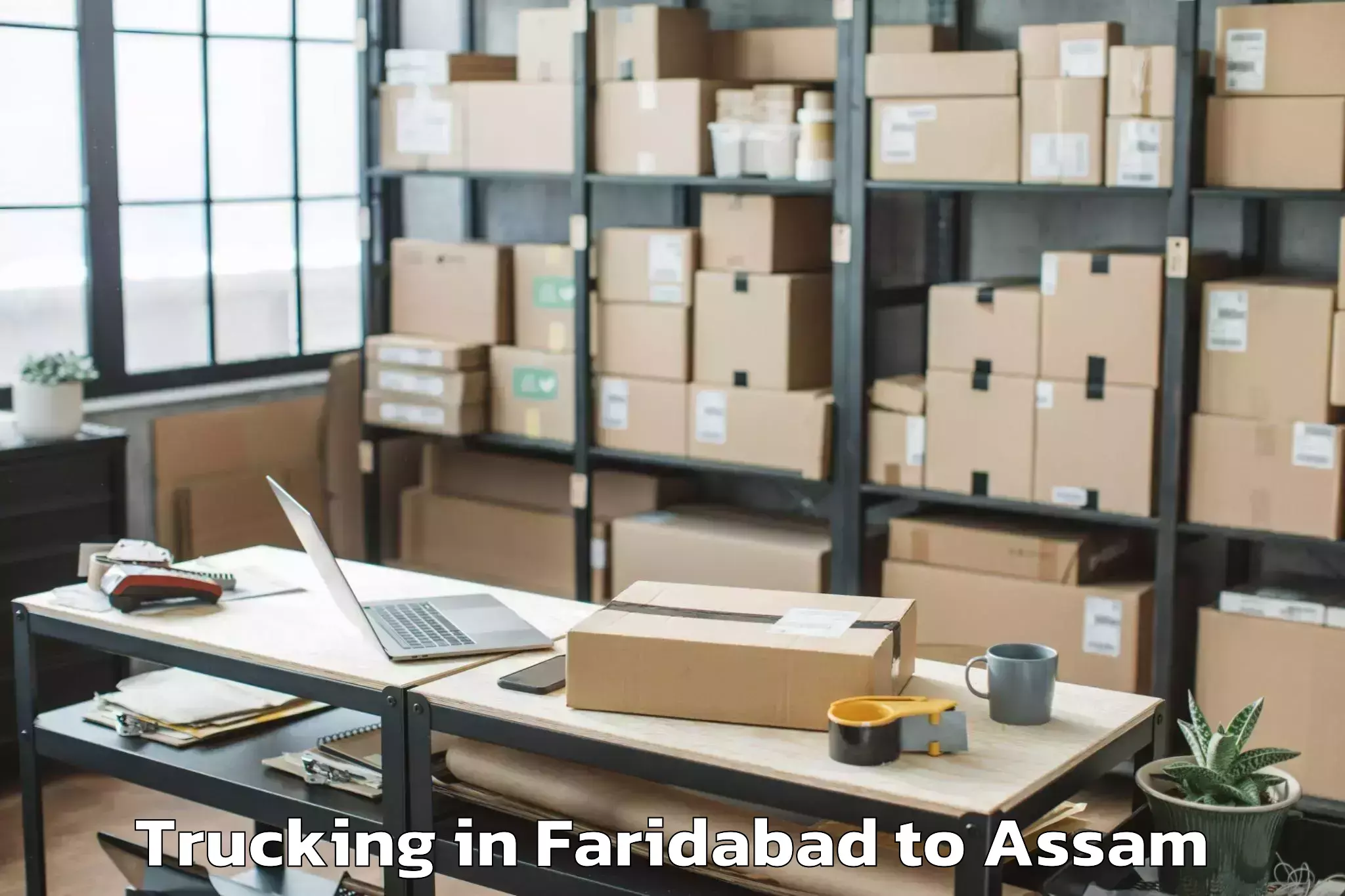 Book Faridabad to Makum Trucking Online